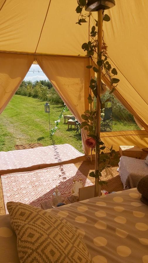 Hopgarden Glamping - Luxury 6M Bell Tent Wadhurst Exterior foto