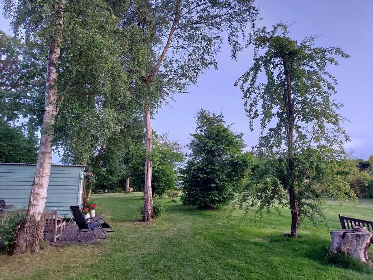 Hopgarden Glamping - Luxury 6M Bell Tent Wadhurst Exterior foto